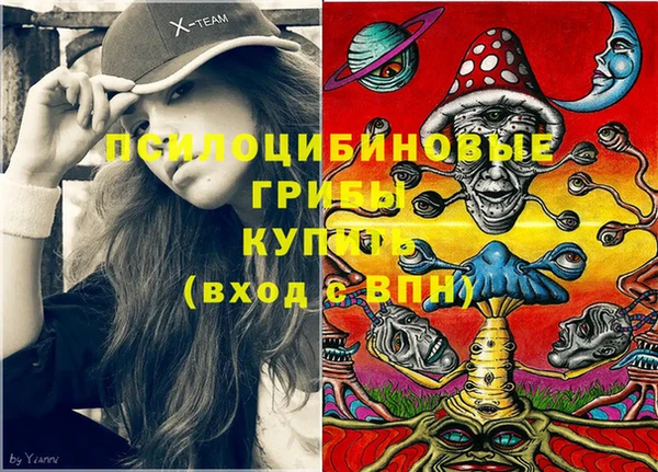 шишки Богородицк