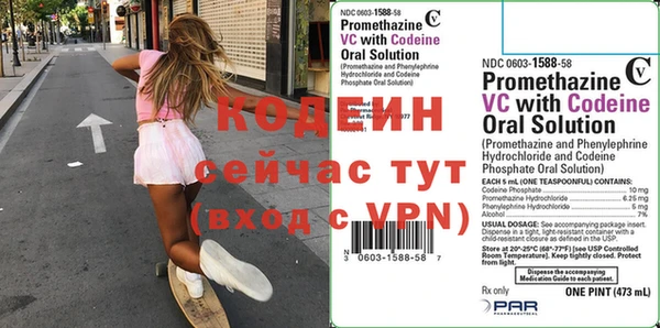 шишки Богородицк