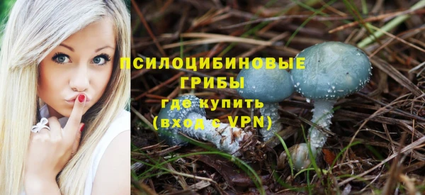 шишки Богородицк