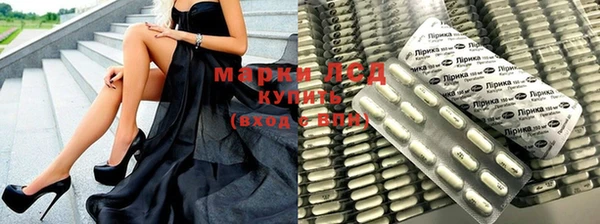 шишки Богородицк