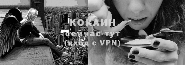 шишки Богородицк