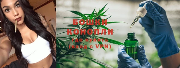 MESCALINE Богданович